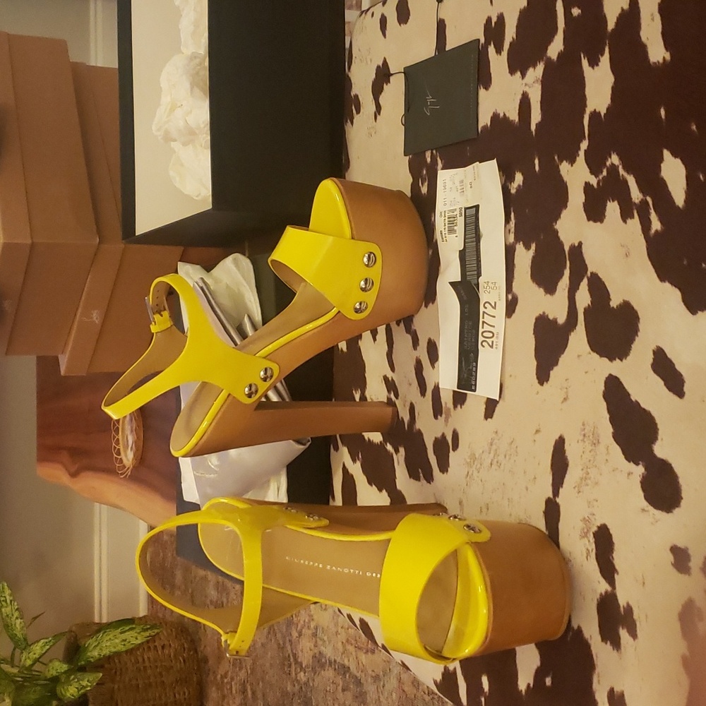 Giuseppe Zanotti